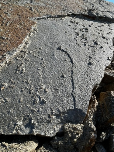 пошаговая дорожка плиты